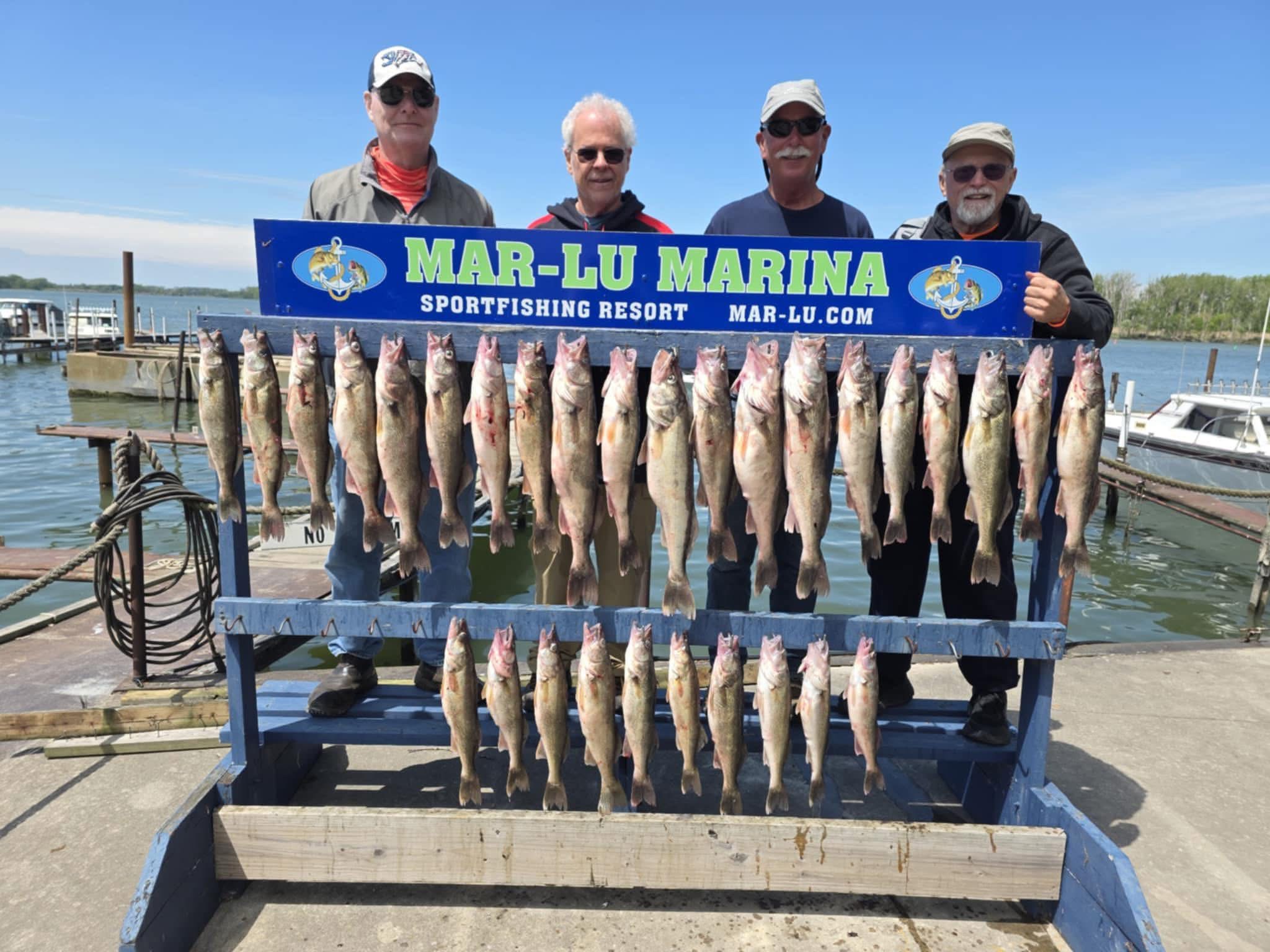Full boat limit of huge Lake Erie walleye