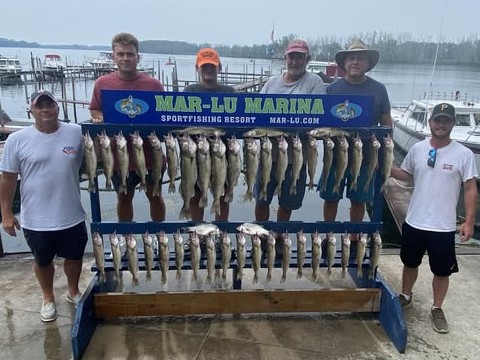 Limit catch of big Lake Erie walleye